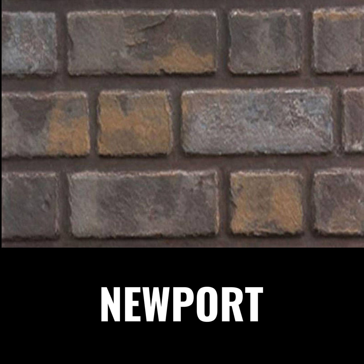 Napoleon Oakville X3/X4 Direct Vent Electronic Ignition Natural Gas Fireplace Insert (GDIX3N/4N-1)