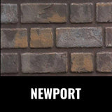 Napoleon Oakville X3/X4 Direct Vent Electronic Ignition Natural Gas Fireplace Insert (GDIX3N/4N-1)