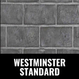 Napoleon Oakville X3/X4 Direct Vent Electronic Ignition Natural Gas Fireplace Insert (GDIX3N/4N-1)