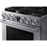 Dacor 30-Inch Transitional Gas Range, Silver Stainless - DOP30T840GS