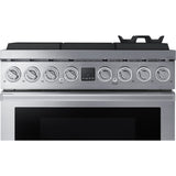 Dacor 36-Inch Transitional Dual-Fuel Range, Silver Stainless - DOP36T86DLS
