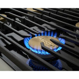 Dacor 48-Inch Contemporary Dual-Fuel Steam Range, Silver Stainless - DOP48C86DLS