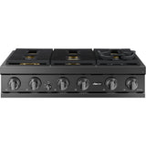 Dacor 36-Inch Transitional Gas Rangetop, Graphite Stainless - DTT36T960GM