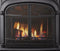 Vermont Castings Intrepid Direct Vent Gas Stove with IntelliFire Ignition - INDVR-IFT