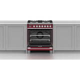 Fisher & Paykel 30" Series 9 Classic Dual Fuel Range, 4 Burner – OR30SCG6*