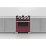Fisher & Paykel 30" Series 9 Classic Dual Fuel Range, 4 Burner – OR30SCG6*