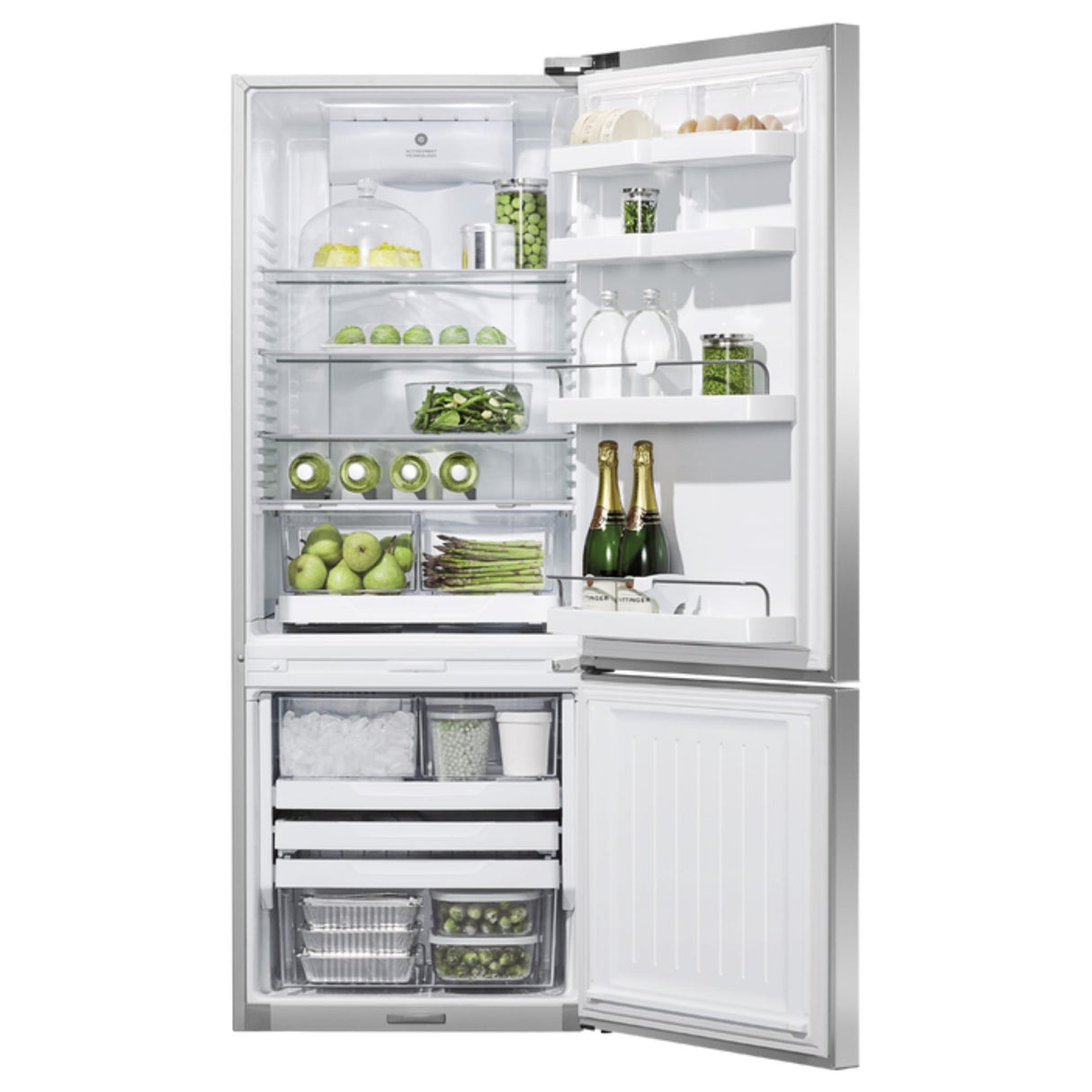 Fisher & Paykel 13.5 cu ft Series 5 Refrigerator Freezer, Ice - RF135BDRJX4