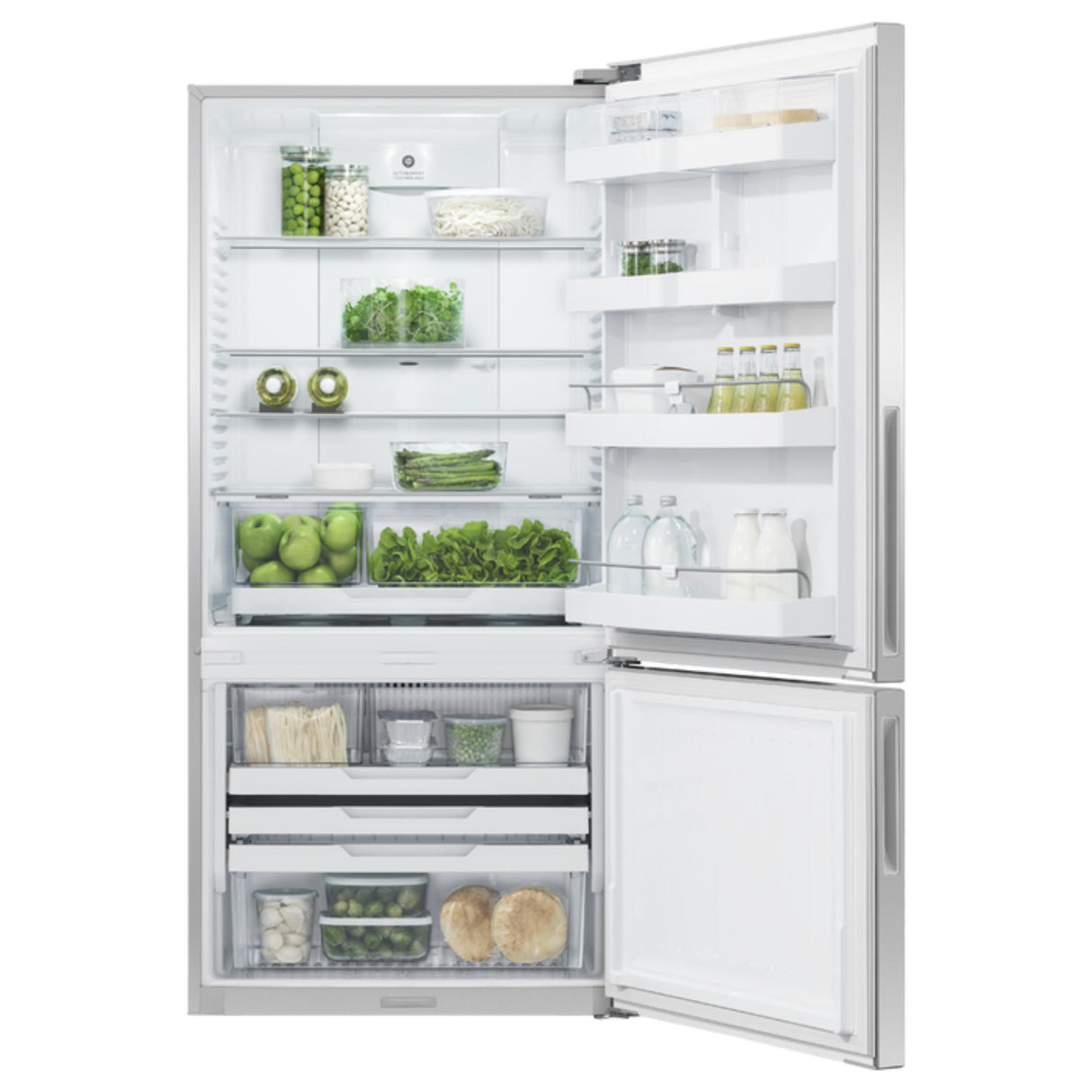 Fisher & Paykel 17.5 cu ft Series 5 Refrigerator Freezer - RF170BRPX6 N