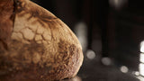 Fisher & Paykel 30" Series 11 Professional Combi-Steam Oven, Stainless Steel – OS30SPTX1