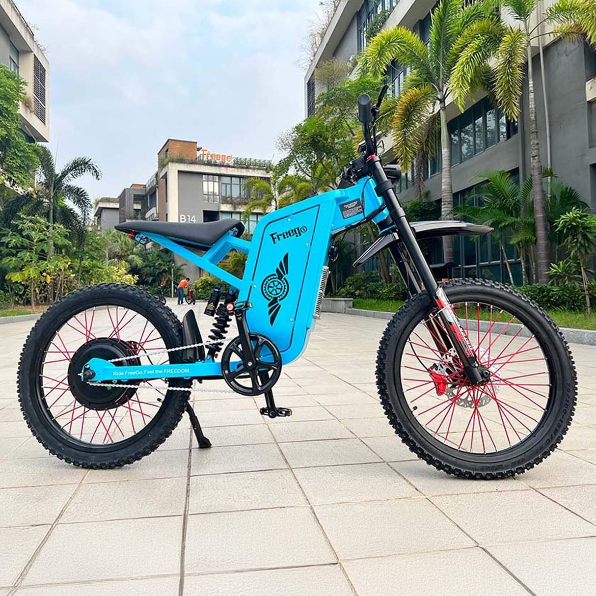 Freego X2 (X2 Pro) All-Terrain Mountain Off-Road Motorcycle, 3000W (SAK91725)