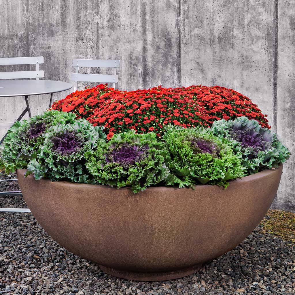 Campania Contour Low Bowl 4719 - GFRC-1000