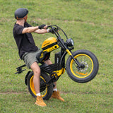 HappyRun G100 (G100 Pro) Long Distance Electric Fat Tire Bike Motorcycle (SAK95715)