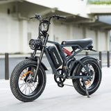 HappyRun Tank G60 Electric Off-Road Fat Tire Moped Bike (SAK48732)