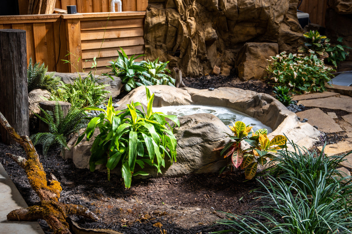 Natural Spas Haven In Ground Hot Tub and Spa