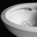 [MW4423084CEFG#01] TOTO Nexus Two Piece Toilet 1.28 GPF Elongated Toilet Included C5 Bidet Seat (SAK17395)