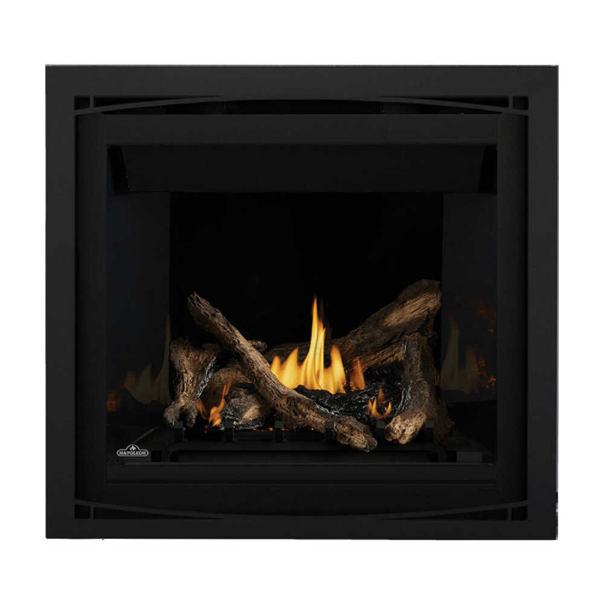 Napoleon Altitude X Direct Vent 36" Natural Gas Fireplace [AX36NTE-1]