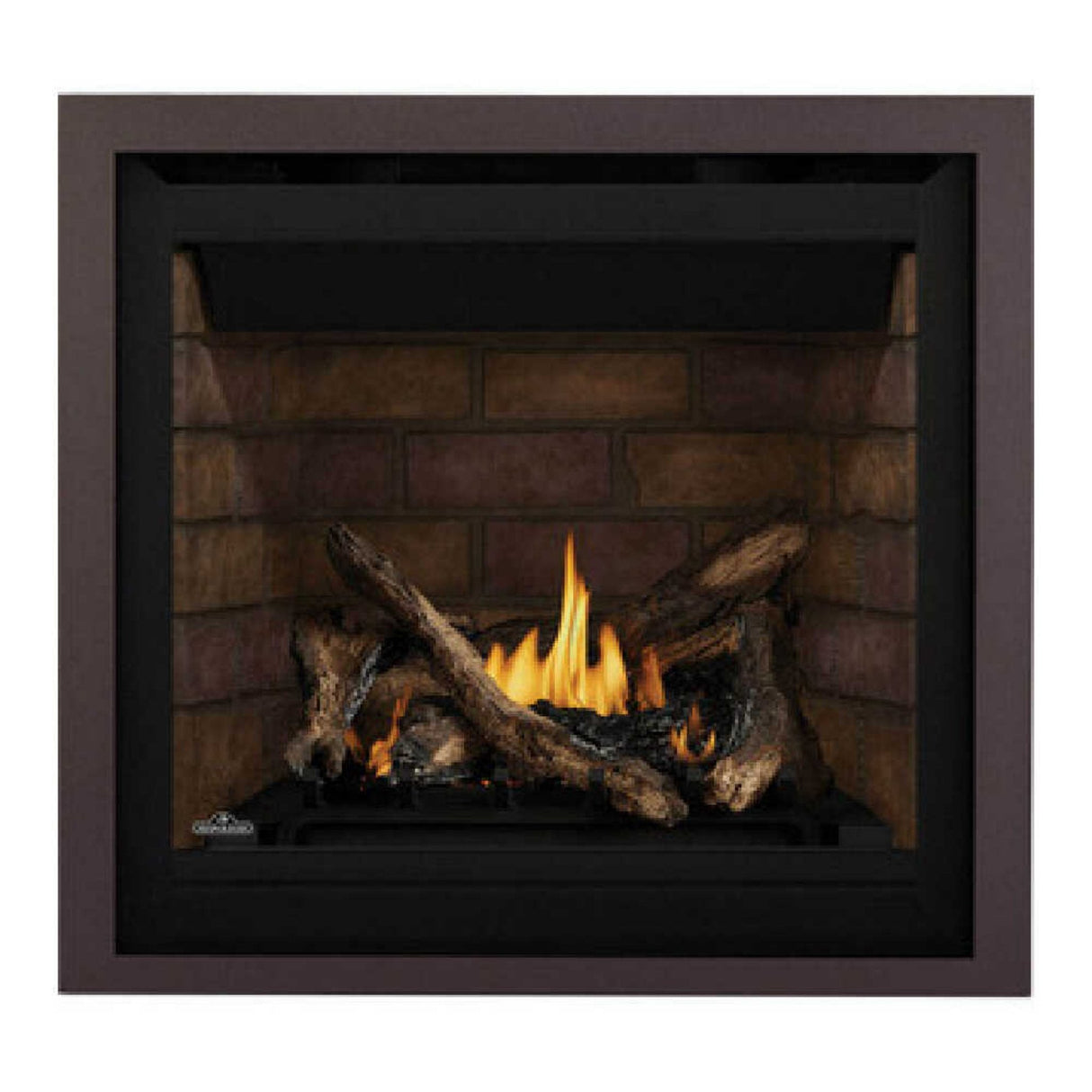 Napoleon Altitude X Direct Vent 36" Natural Gas Fireplace [AX36NTE-1]