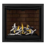 Napoleon Altitude X Direct Vent 36" Natural Gas Fireplace [AX36NTE-1]
