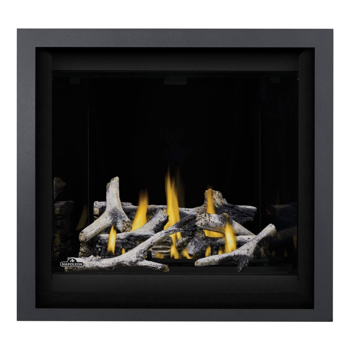 Napoleon Altitude X Direct Vent 36" Natural Gas Fireplace [AX36NTE-1]