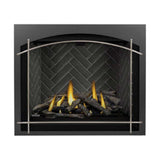 Napoleon Altitude X Direct Vent 42" Propane Fireplace [AX42PTE-1]