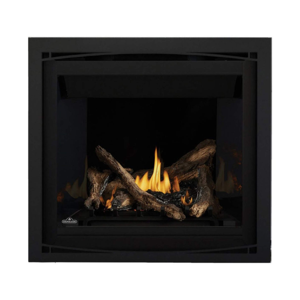 Napoleon Altitude X Direct Vent 42" Propane Fireplace [AX42PTE-1]