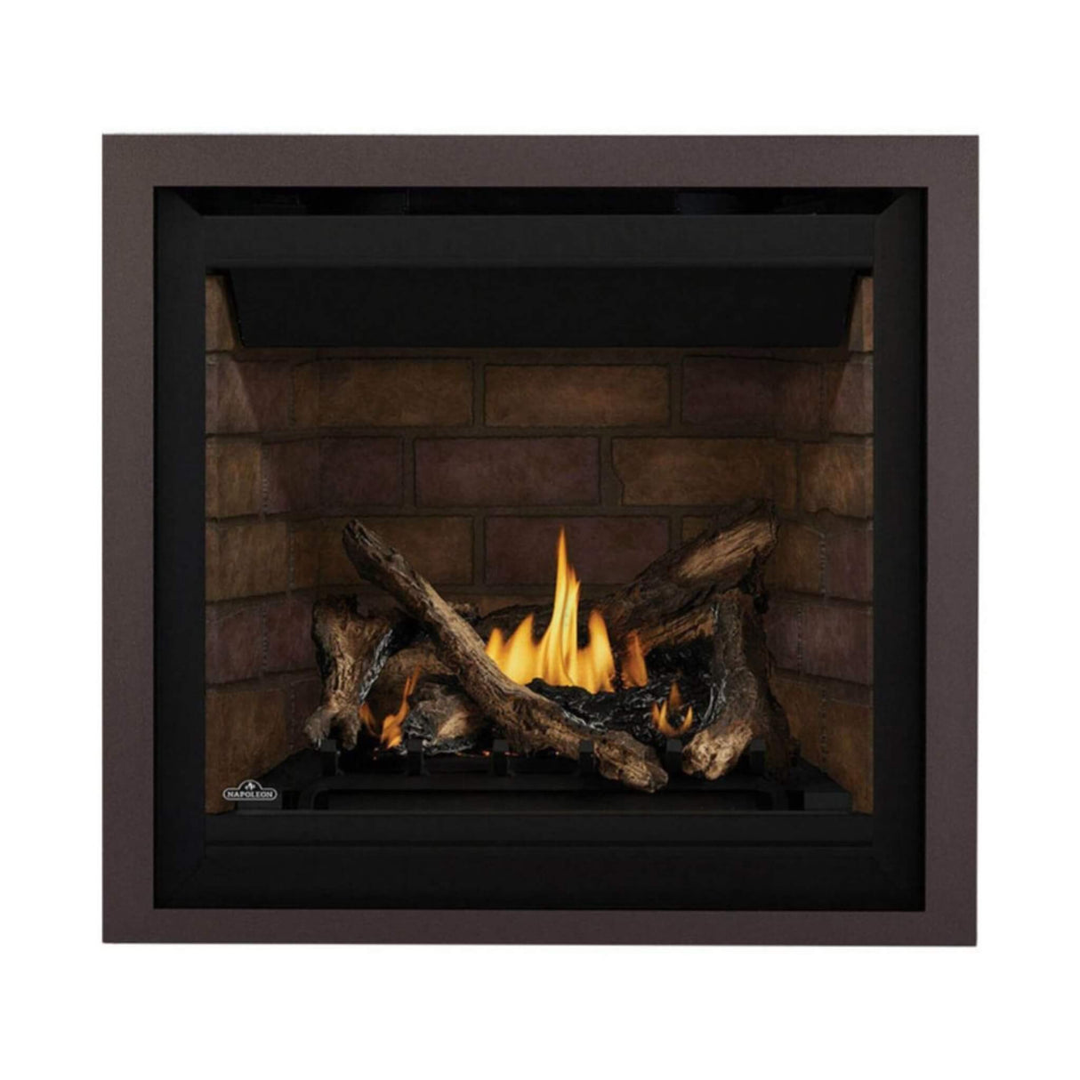 Napoleon Altitude X Direct Vent 42" Propane Fireplace [AX42PTE-1]
