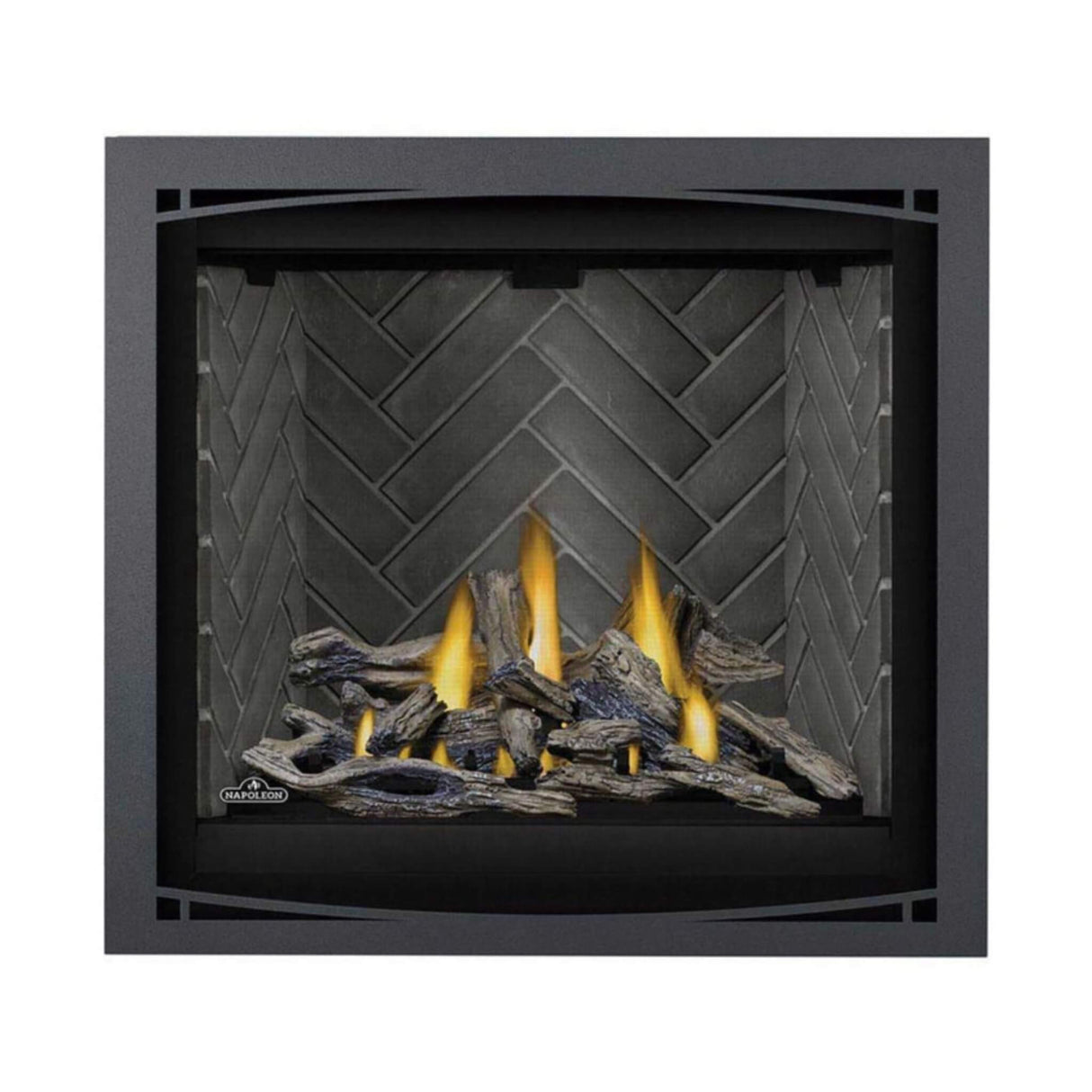 Napoleon Altitude X Direct Vent 42" Propane Fireplace [AX42PTE-1]