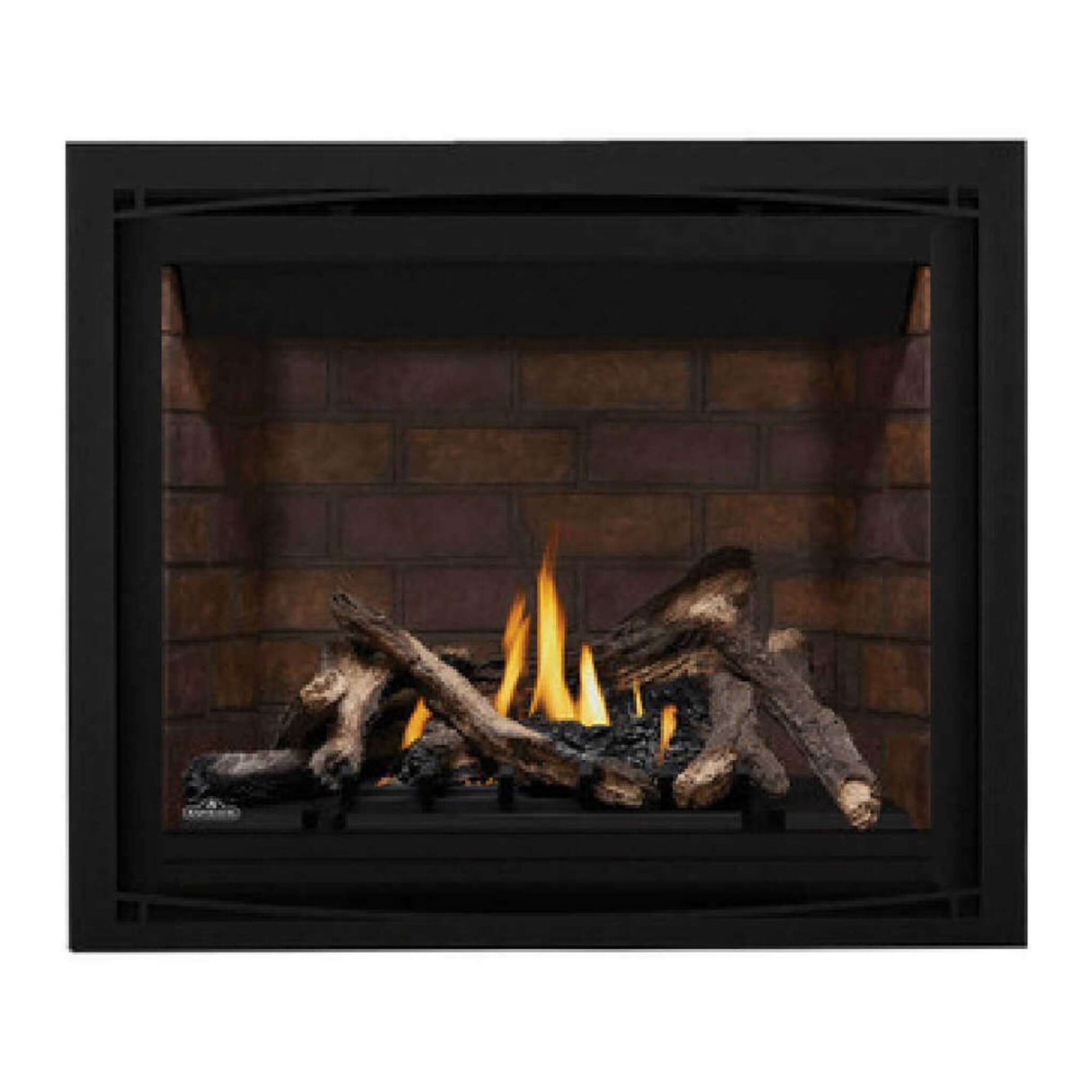 Napoleon Altitude X Direct Vent 42" Propane Fireplace [AX42PTE-1]