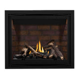 Napoleon Altitude X Direct Vent 42" Propane Fireplace [AX42PTE-1]
