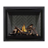 Napoleon Altitude X Direct Vent 42" Propane Fireplace [AX42PTE-1]
