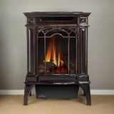 Napoleon Arlington 20 Cast Iron Millivolt Ignition Majolica Brown Natural Gas Stove, 19" [GDS20NNSB]