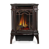 Napoleon Arlington 20 Cast Iron Millivolt Ignition Majolica Brown Natural Gas Stove, 19" [GDS20NNSB]
