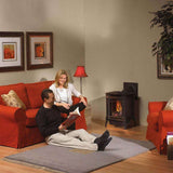 Napoleon Arlington 20 Cast Iron Millivolt Ignition Natural Gas Stove, 19" [GDS20NSB]