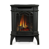 Napoleon Arlington 20 Cast Iron Direct Vent Metallic Black Natural Gas Stove, 19" [GDS20NE]
