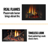 Napoleon Arlington 20 Cast Iron Direct Vent Metallic Black Natural Gas Stove, 19" [GDS20NE]