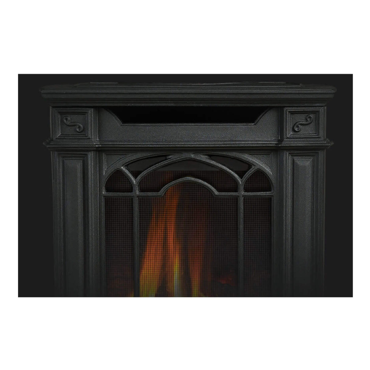 Napoleon Arlington 20 Cast Iron Direct Vent Metallic Black Natural Gas Stove, 19" [GDS20NE]