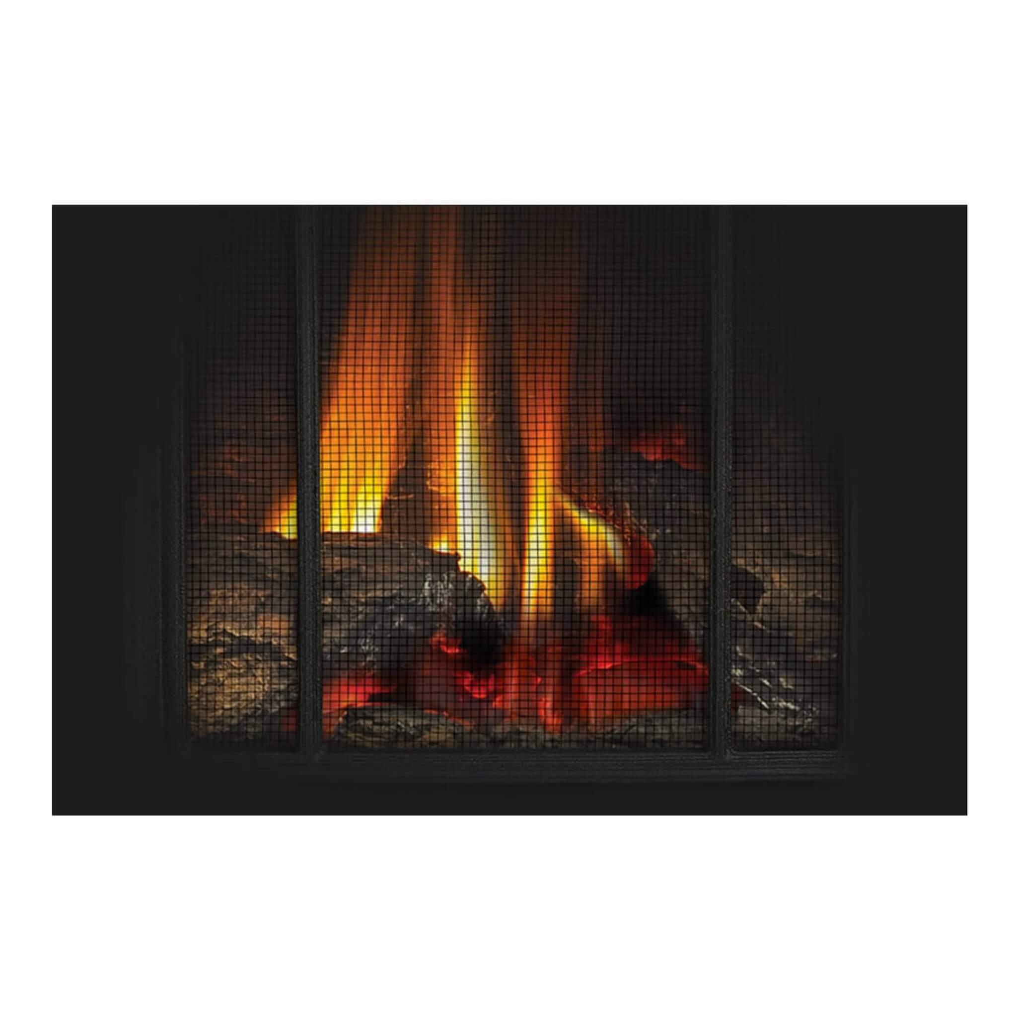 Napoleon Arlington 20 Cast Iron Direct Vent Metallic Black Natural Gas Stove, 19" [GDS20NE]