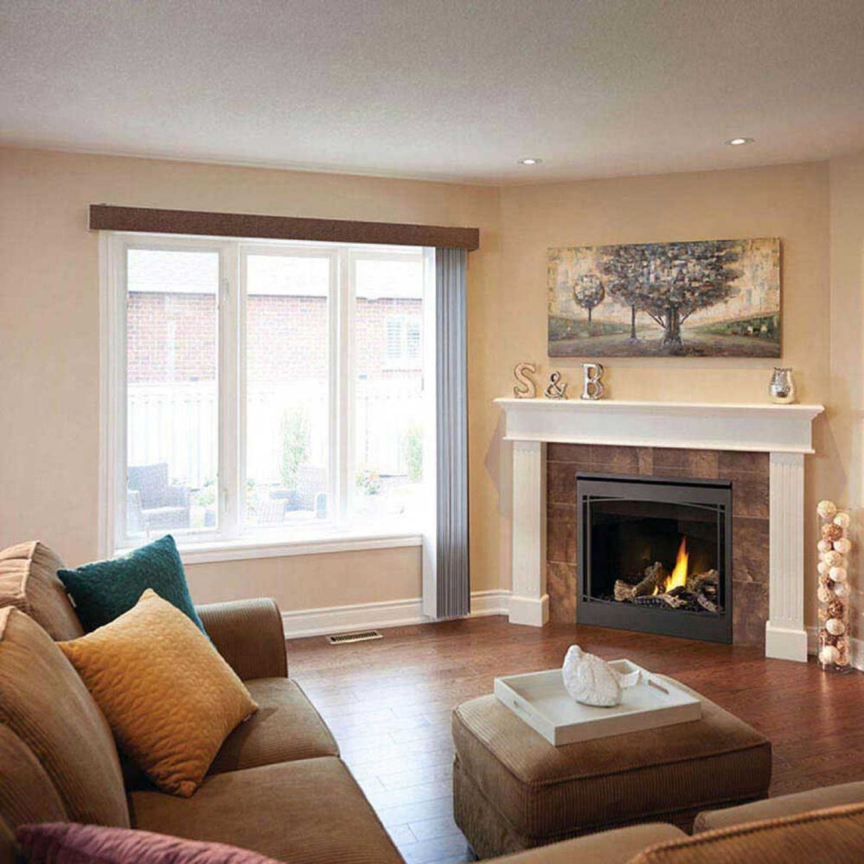 Napoleon Ascent 36 Direct Vent Millivolt Ignition Natural Gas Fireplace, 35" [B36NTR-1]