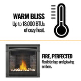 Napoleon Ascent 36 Direct Vent Millivolt Ignition Natural Gas Fireplace, 35" [B36NTR-1]