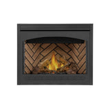 Napoleon Ascent 42 Direct Vent Electronic Ignition Natural Gas Fireplace With Back-Up Control System, 42" [B42NTRE]