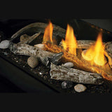 Napoleon Ascent 46" Linear Direct Vent Electronic Ignition Natural Gas Fireplace [BL46NTEA]