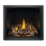 Napoleon Elevation X 42 Direct Vent Electronic Ignition Propane Gas Fireplace, 44" [EX42N/PTEL]