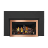 Napoleon Inspiration ZC Direct Vent Millivolt Ignition Natural Gas Fireplace Insert, 36" [GDIZC-NSB]