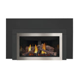 Napoleon Inspiration ZC Direct Vent Millivolt Ignition Natural Gas Fireplace Insert, 36" [GDIZC-NSB]