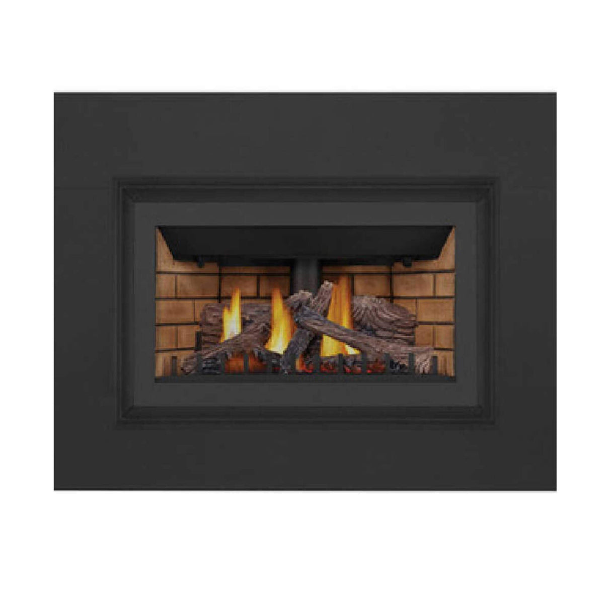 Napoleon Inspiration ZC Direct Vent Millivolt Ignition Natural Gas Fireplace Insert, 36" [GDIZC-NSB]