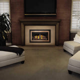 Napoleon Inspiration ZC Direct Vent Millivolt Ignition Natural Gas Fireplace Insert, 36" [GDIZC-NSB]