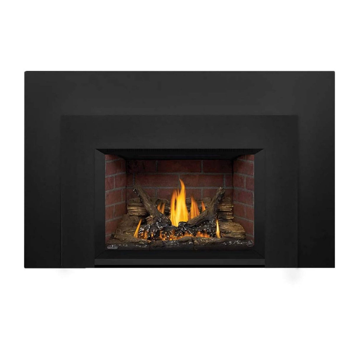 Napoleon Oakville 3 Direct Vent Natural Gas Fireplace Insert, 28" [GDI3N-1]