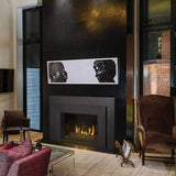 Napoleon Oakville 3 Glass Direct Vent Electronic Ignition Natural Gas Fireplace Insert, 28" [GDIG3N]