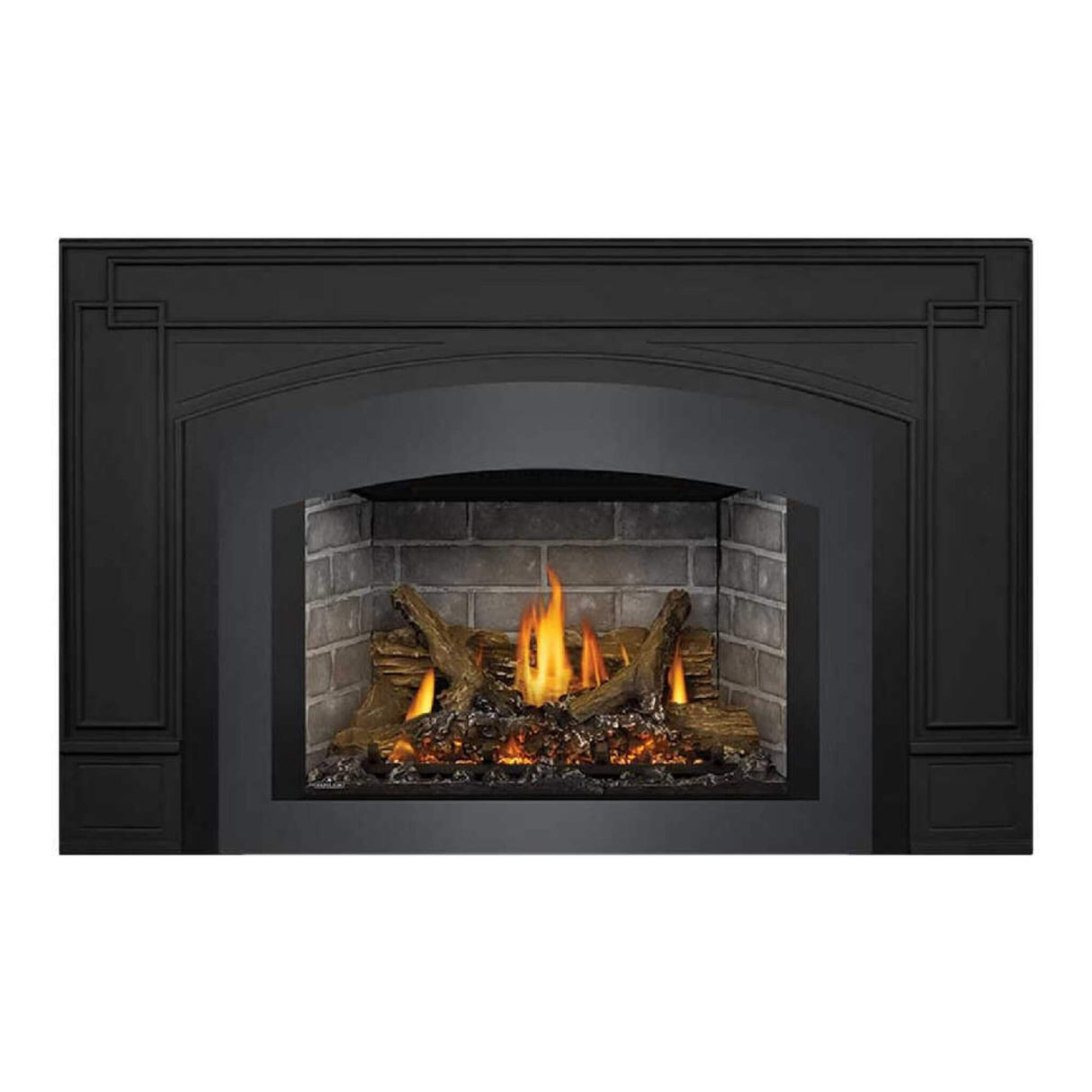 Napoleon Oakville X3/X4 Direct Vent Electronic Ignition Natural Gas Fireplace Insert (GDIX3N/4N-1)
