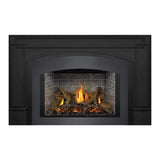 Napoleon Oakville X3/X4 Direct Vent Electronic Ignition Natural Gas Fireplace Insert (GDIX3N/4N-1)